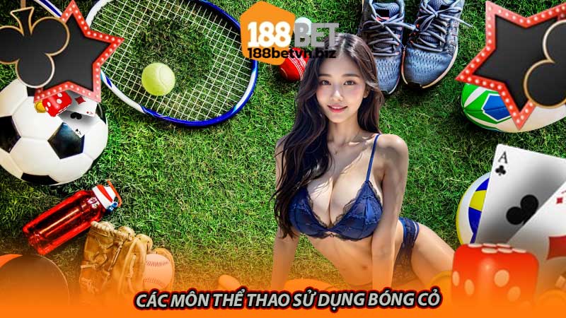 Các môn thể thao sử dụng bóng cỏ