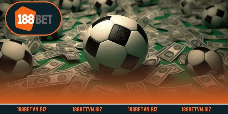 Sơ lược sảnh BTi cá cược thể thao