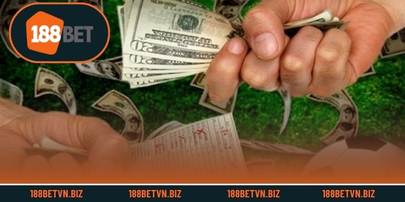 Cơ hội nhận thưởng cá cược cực lớn