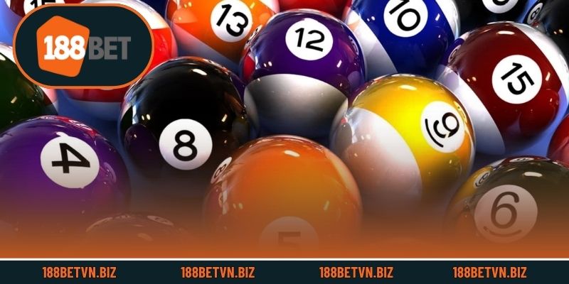 Ưu đãi độc quyền cho hội viên chính thức 